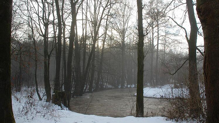 Trübe rauscht die Itz dem Froschgrundsee entgegen - doch gerade dadurch friert der Fluss nicht zu und bietet für einige Arten Überlebenschancen. Foto: Rainer Lutz