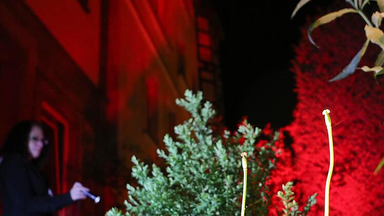 Foto: Barbara Herbst