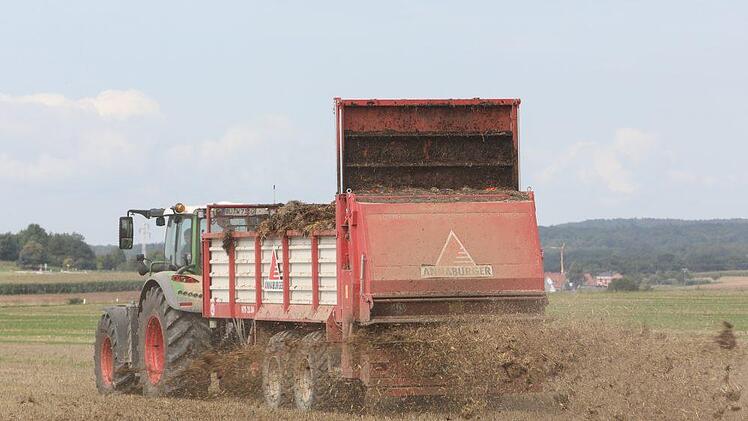 Der Miststreuer in Aktion auf dem Feld Foto: Barbara Herbst