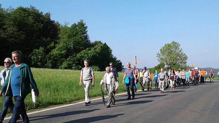 Die Kirchehrenbacher Wallfahrer auf dem Weg nach Gößweinstein Foto: Bastian Holzschuh