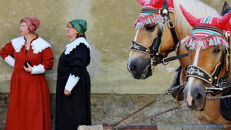 Ein Plätzchen im Schatten. Foto: Sigismund von Dobschütz