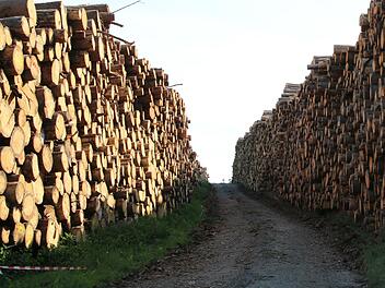 Bis zu acht Meter hoch werden mächtige Baumstämme zu beiden Seiten eines Feldwegs aufgetürmt.