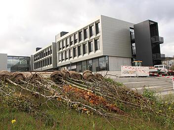 Großbäume sollen in der warmen Jahreszeit dem Campushof lichten Schatten bieten und den Parkcharakter im Umgriff der Schule unterstreichen.Foto: Heike Beudert