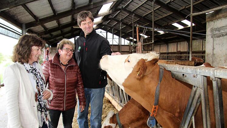 Robert Ort informierte im September 2017 MdB Martina Stamm-Fibich (li.) und Kreisbäuerin Evi Derrer über die Milchviehhaltung. Foto: Richard Sänger