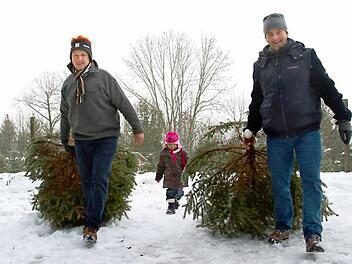 Selbst ausgesucht - nun kommen die Christbäume direkt vom Wald mit nach Hause! Fotos: Florian Hecky