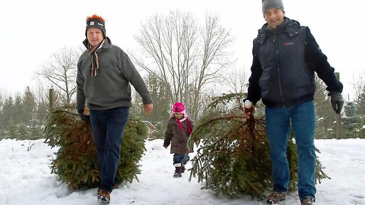 Selbst ausgesucht - nun kommen die Christbäume direkt vom Wald mit nach Hause! Fotos: Florian Hecky