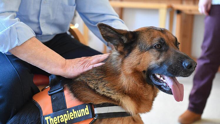 Therapiehund Aramis bei den Senioren im Kulmbacher WohnstiftFoto: Ronald Rinklef