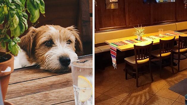 Kreis Lichtenfels: Restaurant-Chef wendet sich an G&auml;ste mit Hunden