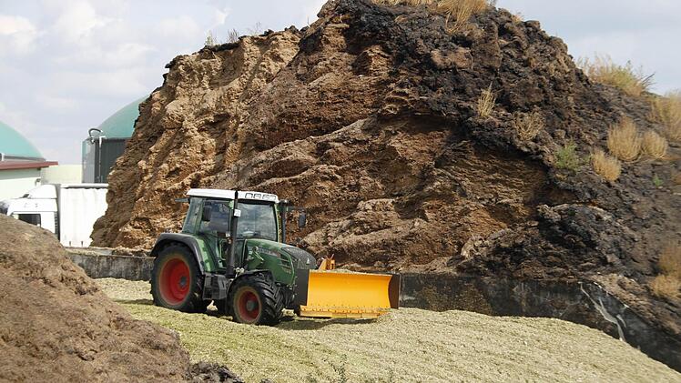 Der Traktor verteilt eine neue Lieferung. Auf dem großen  Maisberg  vom letzten Jahr   wachsen wieder neue Pflanzen.