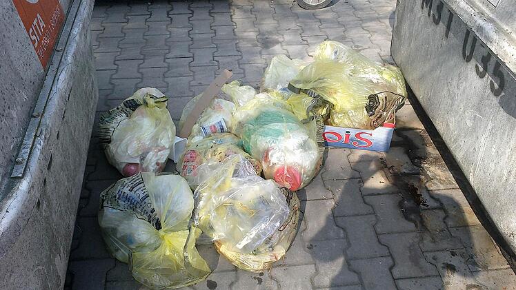 Die Gelben Säcke sind ein Ärgernis. Viele Haushalte im Landkreis Kulmbach klagen darüber, dass die Säcke zu leicht reißen.  Foto: privat