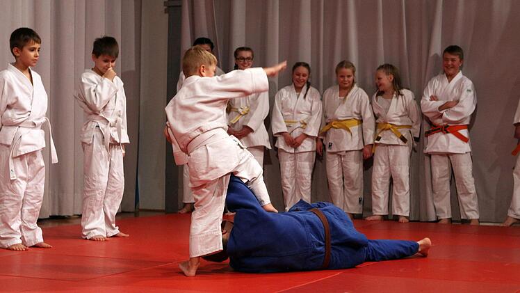 Gekonnte Würfe des Nachwuchses beim Judo (Manfred Klauer). Foto: Thomas Dill