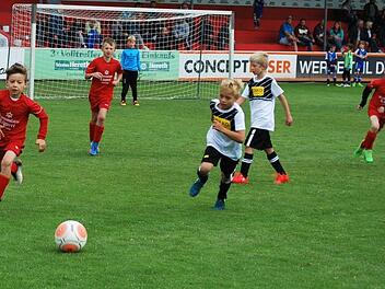 Jedem Ball wurde hinterhergejagt. Hier eine Szene aus dem Spiel der F-Junioren zwischen dem FC Lichtenfels und dem FC Michelau. Foto: Alfred Thieret