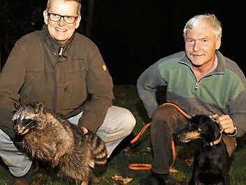 Roland Kraus mit Waschbär und Reinhard Turnwald mit seinem Hund Mingo im Schwedengraben im Jagdrevier Wiesenthau, wo der Kleinbär geshossen wurde. Fotos: Franz Galster