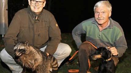 Roland Kraus mit Waschbär und Reinhard Turnwald mit seinem Hund Mingo im Schwedengraben im Jagdrevier Wiesenthau, wo der Kleinbär geshossen wurde. Fotos: Franz Galster