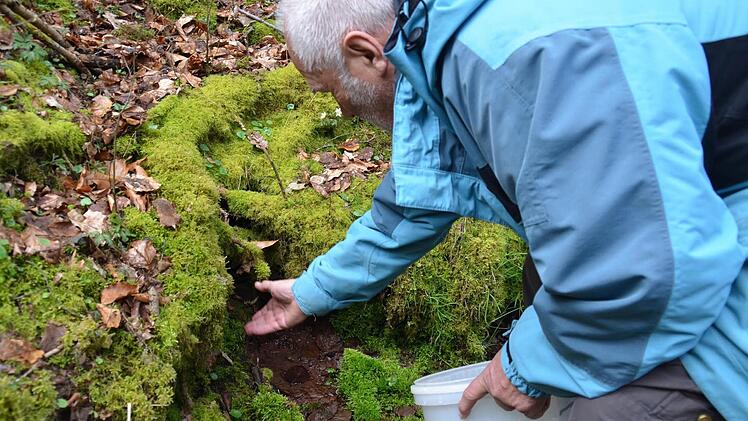 Hier entlässt Hans-Georg Mommsen einen Salamander in die kleine Erdhöhle.  Foto: Kathrin Kupka-Hahn