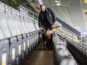 Künftig Alltag in den Bundesliga-Stadien? Ein Spürhund sucht vor dem Spiel die Ränge nach Sprengstoff ab. Foto: dpa