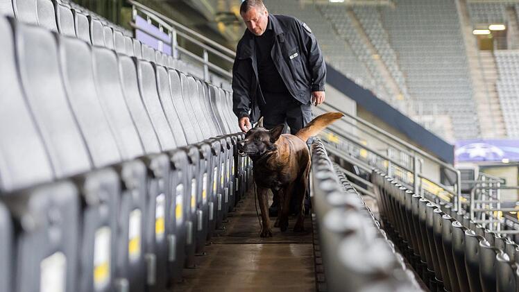 Künftig Alltag in den Bundesliga-Stadien? Ein Spürhund sucht vor dem Spiel die Ränge nach Sprengstoff ab. Foto: dpa