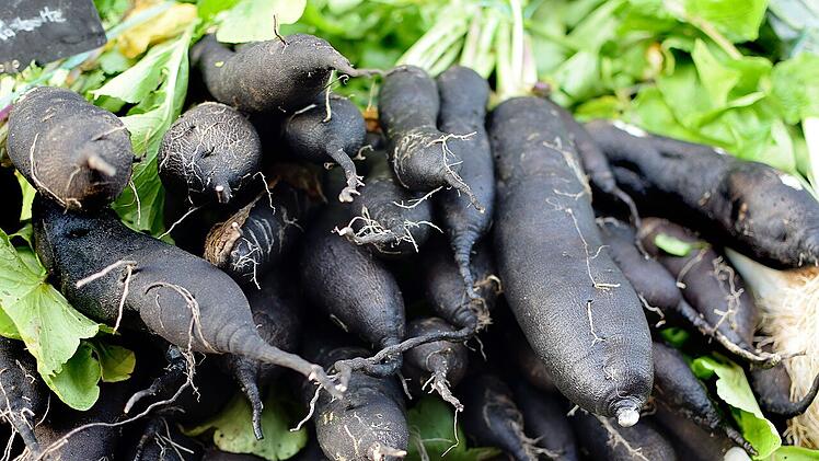 Schwarze Schale, weißer Kern: Nach dem Schälen weist die Schwarzwurzel Ähnlichkeiten zum Spargel auf.
