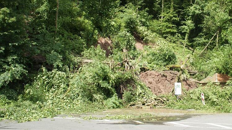 Nach starken Regenfällen gab es im Mai 2013 in der Nähe des Eltmanner Stadtteils Dippach einen massiven Hangrutsch. Bäume und Erde begruben den Maintalradweg und die Straße unter sich. In den kommenden Wochen soll nun das waldbauliche Sanierungskonzept umgesetzt werden, das die akuten Gefahren am Hang beseitigen und künftigen Rutschungen vorbeugen soll.
