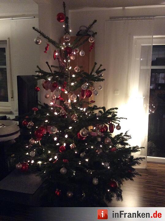 Weihnachten in Franken: Die Christbäume unserer Leser