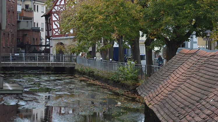 Das Wasser am rechten Wiesenarm wurde auf 30 Zentimeter abgesenkt.