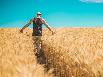 Faire Woche in Bamberg: Verschiedene Aktionen geplant Faire Woche in Bamberg: Verschiedene Aktionen geplant