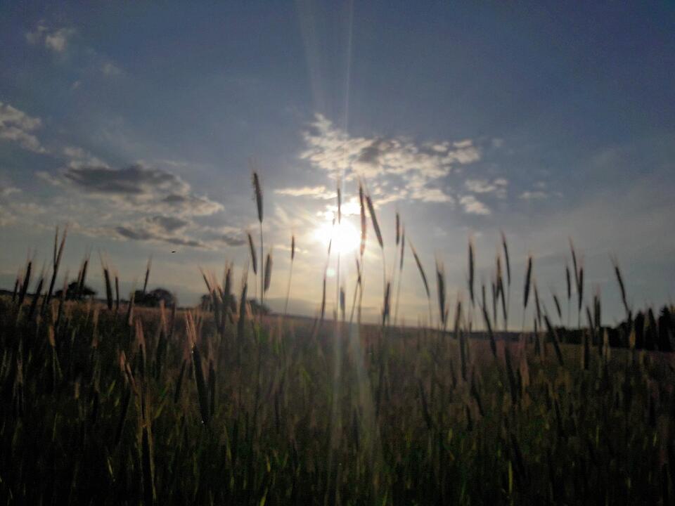 Natur pur