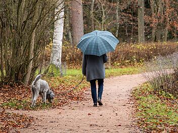 Ermittlungen nach Pyrotechnikfund in der Oberpfalz