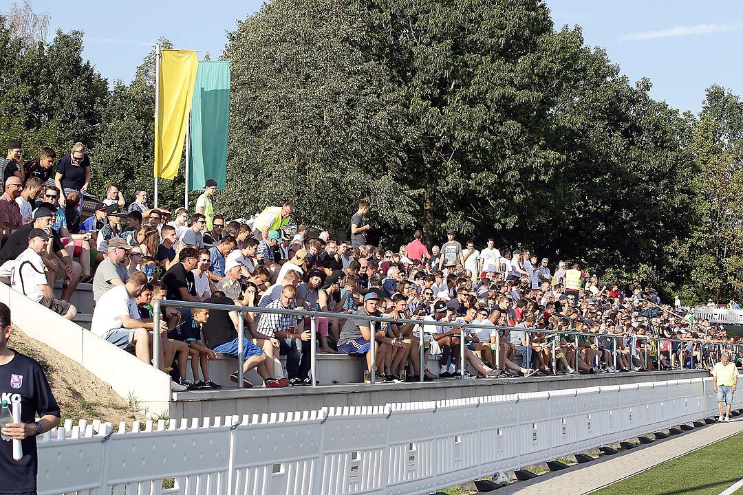 DJK Don Bosco gegen FC Eintracht Bamberg