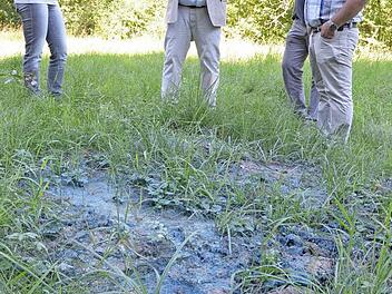 Monika Feibel, Jürgen Wittmann, Thomas Feulner und Stefan Neumann betrachten eine Stelle im Erdreich, an der die blaue Farbe eine Belastung deutlich werden lässt. Foto: Rainer Lutz