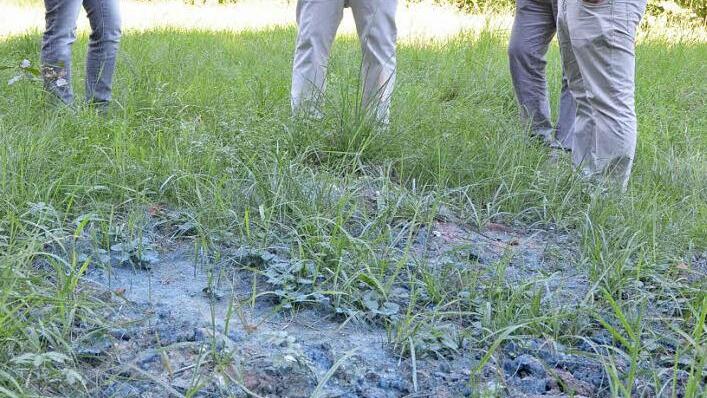 Monika Feibel, Jürgen Wittmann, Thomas Feulner und Stefan Neumann betrachten eine Stelle im Erdreich, an der die blaue Farbe eine Belastung deutlich werden lässt. Foto: Rainer Lutz