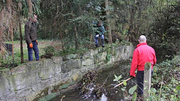 Fast geschafft! Das durch den Biberdamm im Albersdorfer Mühlbach angestaute Wasser läuft kontrolliert ab; von links im Bild sind Norbert Rittmaier, Werner Riegel und Eike Bruhn.Helmut Will