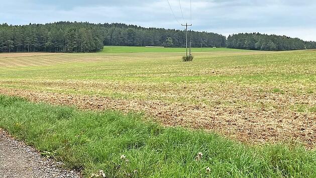 Auf dieser Fl&auml;che zwischen G&ouml;&szlig;mannsberg und Oberfellendorf k&ouml;nnte bereits 2022 ein B&uuml;rgersolarpark entstehen.