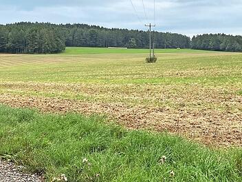 Auf dieser Fläche zwischen Gößmannsberg und Oberfellendorf könnte bereits 2022 ein Bürgersolarpark entstehen.