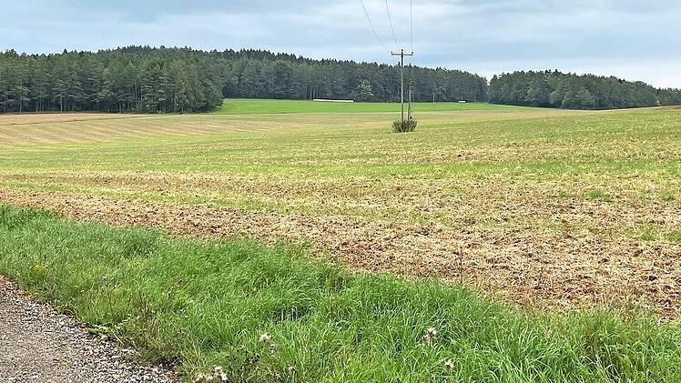 Auf dieser Fläche zwischen Gößmannsberg und Oberfellendorf könnte bereits 2022 ein Bürgersolarpark entstehen.