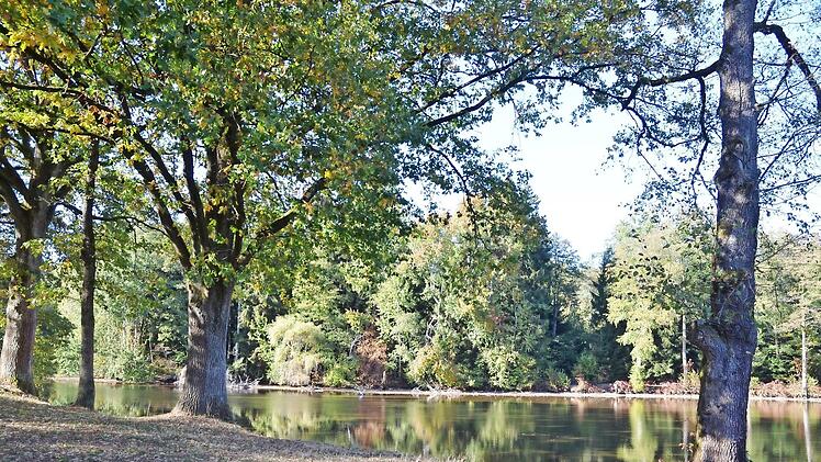 Der Rottenbachteich bei Wildenheid ist bisher nicht durch Schadstoffe aus der in unmittelbarer Nähe liegenden früheren Deponie belastet. Untersuchungen sollen helfen, dafür zu sorgen, dass dies auch in Zukunft so bleibt.