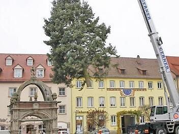 Mit Hilfe eines Krans wurde der Baum auf dem Marktplatz in Position gebracht. Foto: Markus Reeh
