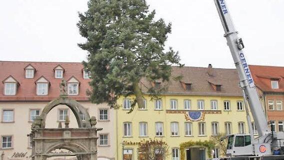Mit Hilfe eines Krans wurde der Baum auf dem Marktplatz in Position gebracht. Foto: Markus Reeh