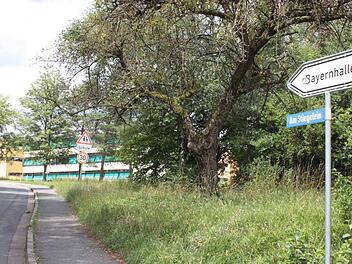 Die SPD-Stadtratsfraktion beantragte, die Straße "Am Stiegelein" in "Egbert-Friedrich-Straße" umzubenennen, um den verdienten Bad Rodacher posthum besonders zu ehren. Eine knappe Mehrheit lehnte dies in der Sitzung am Mittwoch ab. Foto: Henning Schuster