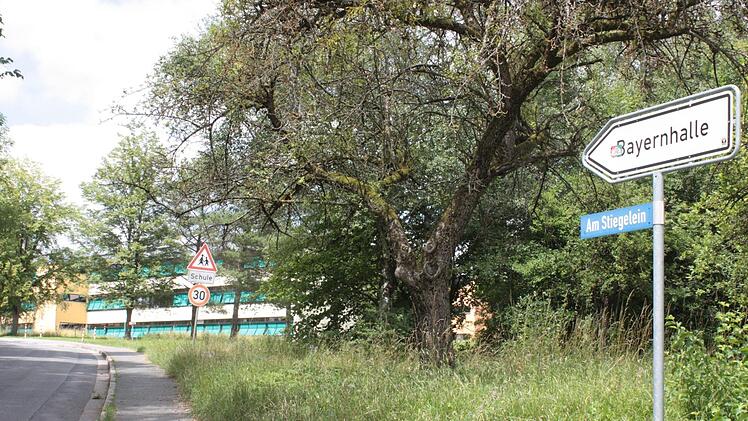 Die SPD-Stadtratsfraktion beantragte, die Straße "Am Stiegelein" in "Egbert-Friedrich-Straße" umzubenennen, um den verdienten Bad Rodacher posthum besonders zu ehren. Eine knappe Mehrheit lehnte dies in der Sitzung am Mittwoch ab. Foto: Henning Schuster