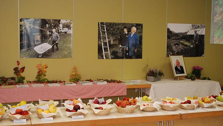 Duftende, in herrlichen Farben leuchtende Äpfel fanden die Aufmerksamkeit der Gäste. Foto: Karl Klippel