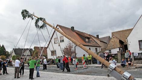 Der Kirchweihbaum wird mit dem neuen Ständer aufgestellt.  Foto: Erlwein