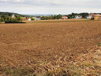 Hier westlich vom Ortsteil Etzelskirchen plant die Stadt Höchstadt ein weiteres Baugebiet. Foto: Andreas Dorsch