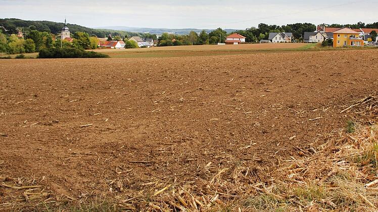 Hier westlich vom Ortsteil Etzelskirchen plant die Stadt Höchstadt ein weiteres Baugebiet. Foto: Andreas Dorsch