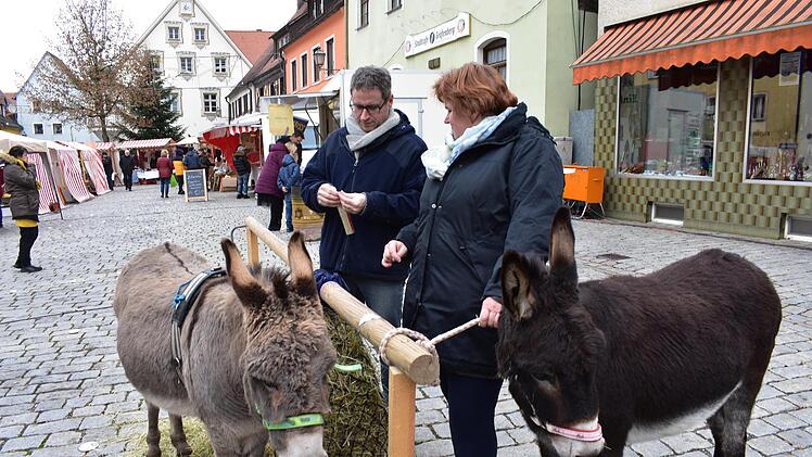 Stadtrat Matthias Striebich Foto: Petra Malbrich