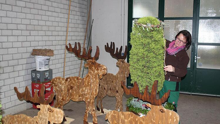 Ein Weihnachtsensemble wird in der Kurgärtnerei vorbereitet.