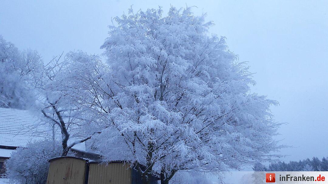 Schnee in Franken Januar 2017 - Leserfotos
