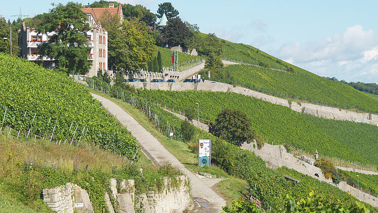 Weinberge Würzburg