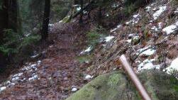 Dieser "Sturmstein" auf dem Arnoldweg im Muppberg erinnert heute noch an die Unwetterkatastrophe      vom 15. Mai 1958. Foto: Dieter Seyfarth