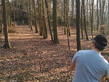 Eine Körbe der Gößweinsteiner Disc-Golf-Anlage stehen im Wald. Foto: privat